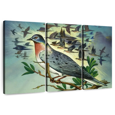 Pigeons voyageurs