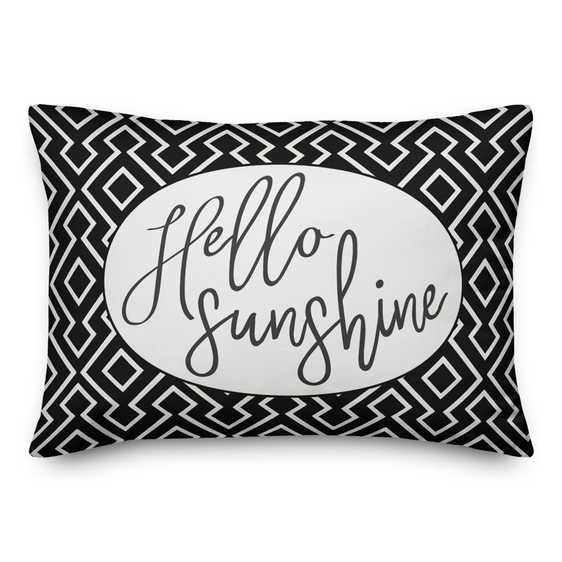 Adalynn Hello Sunshine Outdoor Rectangular Pillow Cover and Insert, Black