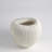 Baleen Cachepot-Ivory w/Brown Edges