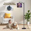  Lampe sur pied Arc Majestic Raven