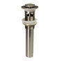 Brushed Nickel
