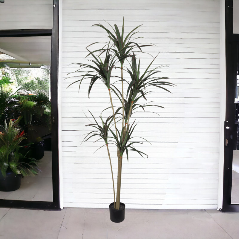 Arbre Dracaena artificiel, H 60 po x l 24 po x P 12 po