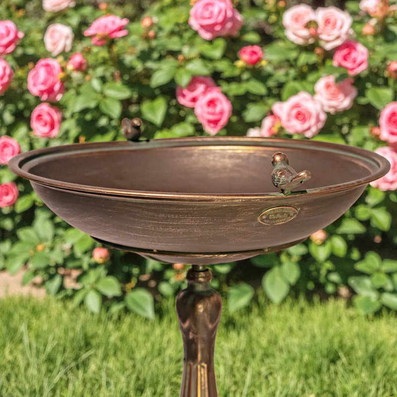 Bain d'oiseaux sur piédestal en métal Mattison, Bronze