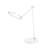 Josalyn Aluminium USB Desk Lamp