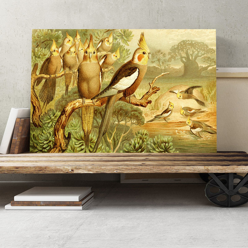 Brehms Tierleben - Wrapped Canvas Painting, 35cm H x 50cm W