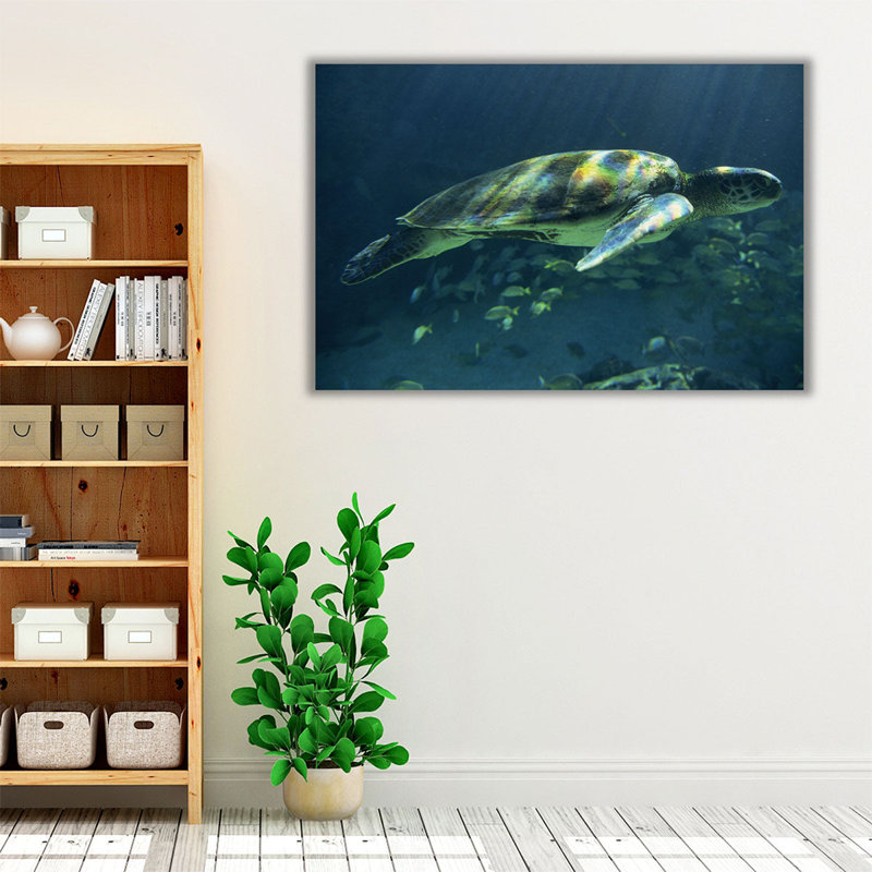 «Aegean Sea Turtles I», reproduction d'art sur toile, H 20 po x l 30 po