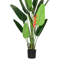 Plante tropicale en pot noir 7 pi