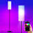 Smart Floor Lamp With Matter Smart Bulb, Dimmable Colour Temperature, Voice Control-1373264306