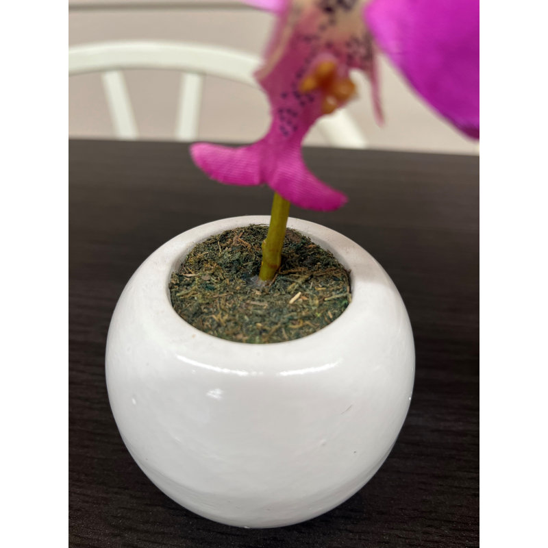 Fabric Orchid Arrangement in Pot, 0.28cm H x 0.13cm W x 0.08cm D, Purple/White