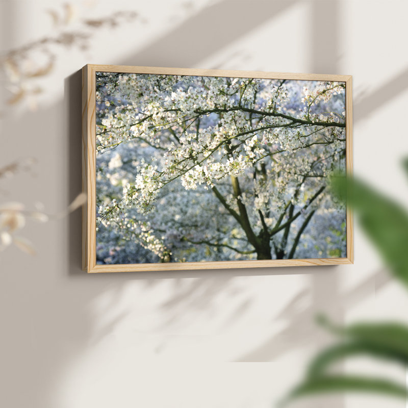 In All Your Glory -Framed Print - Restickable, 8" H x 10" W, Natural