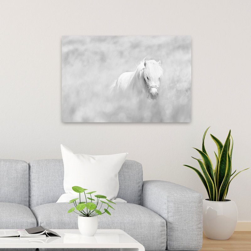 Dreamy White Pony Dreamy Elegant Horse