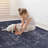 Washable Rug 5X8 Area Rug-443230037