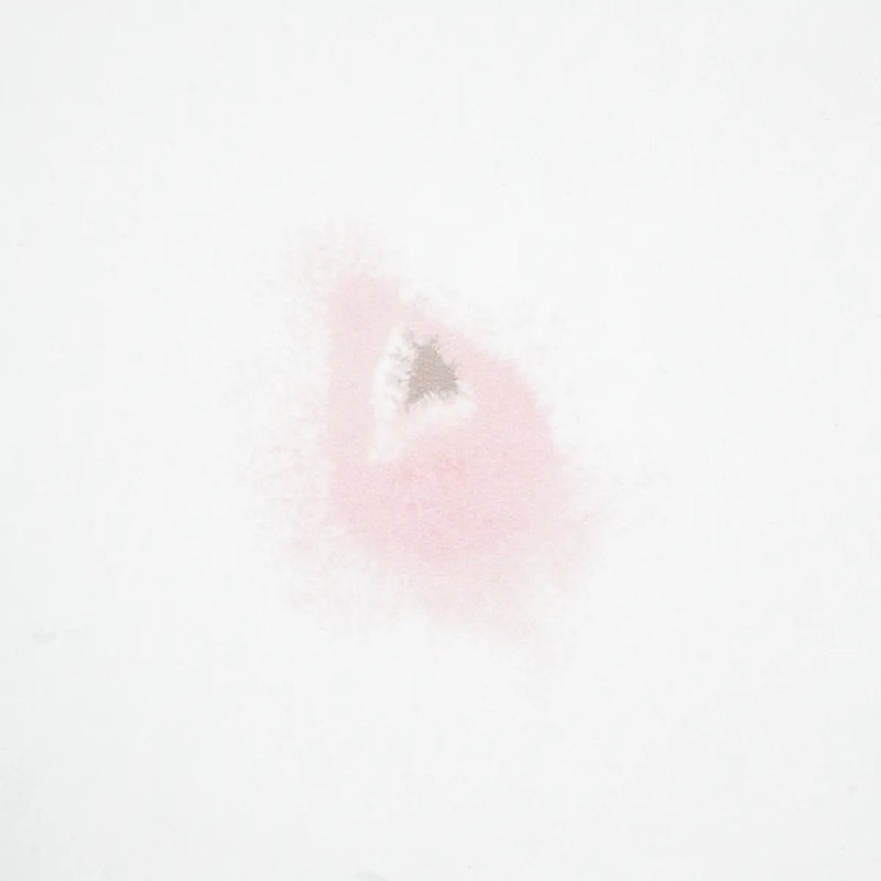 Schumacher x Porter Teleo Stellar Wallpaper, Blush