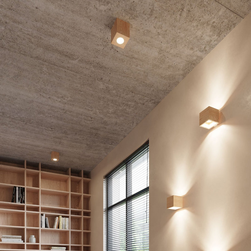 Terez 1-Light Brown Up & Downlight, Brown