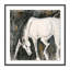 White Horse I Print by Donna Bernstein-832002876-832002867