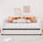Twin Size Upholstered Daybed With Ergonomic Design Backrest And Trundle