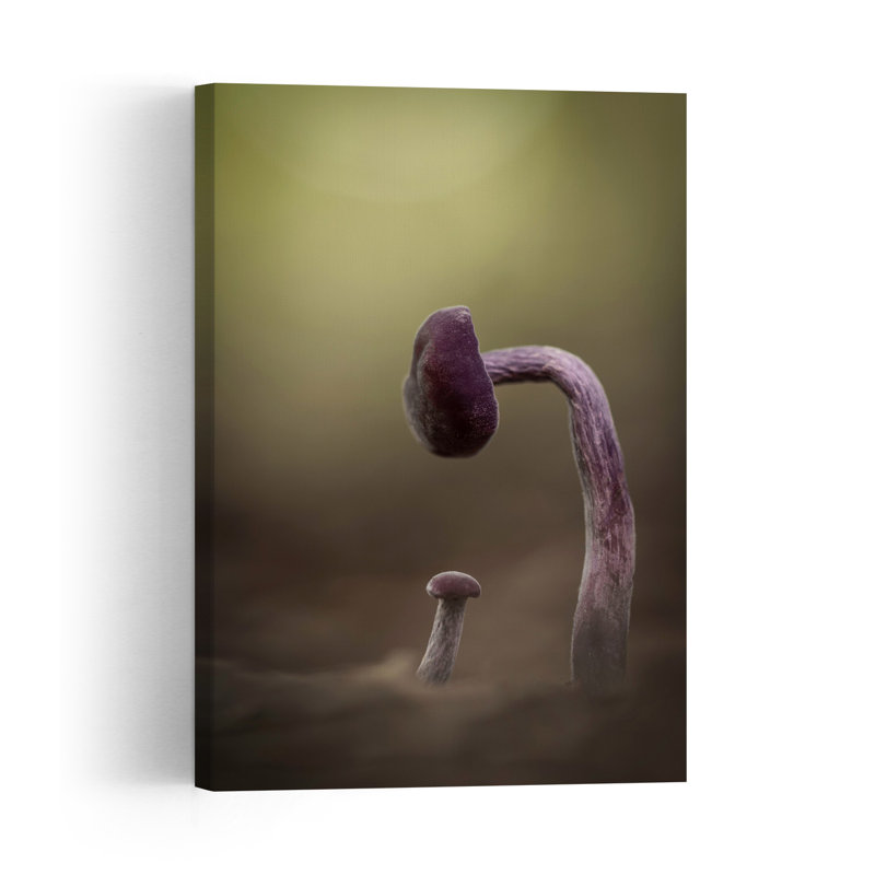 Quiet Forest Mushrooms Delicate Dreamy Organic Violet Forest Nature Wall Art Print by Daan De Vos - Print