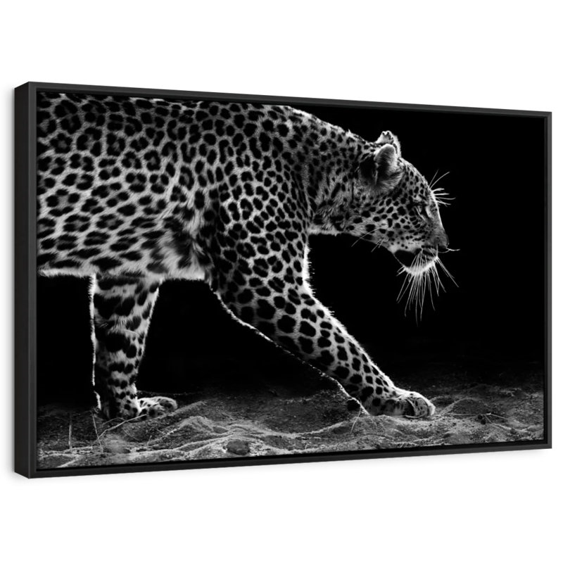 " Walking Leopard Canvas Print ", 9" H x 13" W