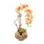 Centre de table Echeveria and Orchid