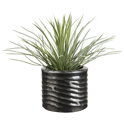 Yucca 16 po dans un pot à fleurs