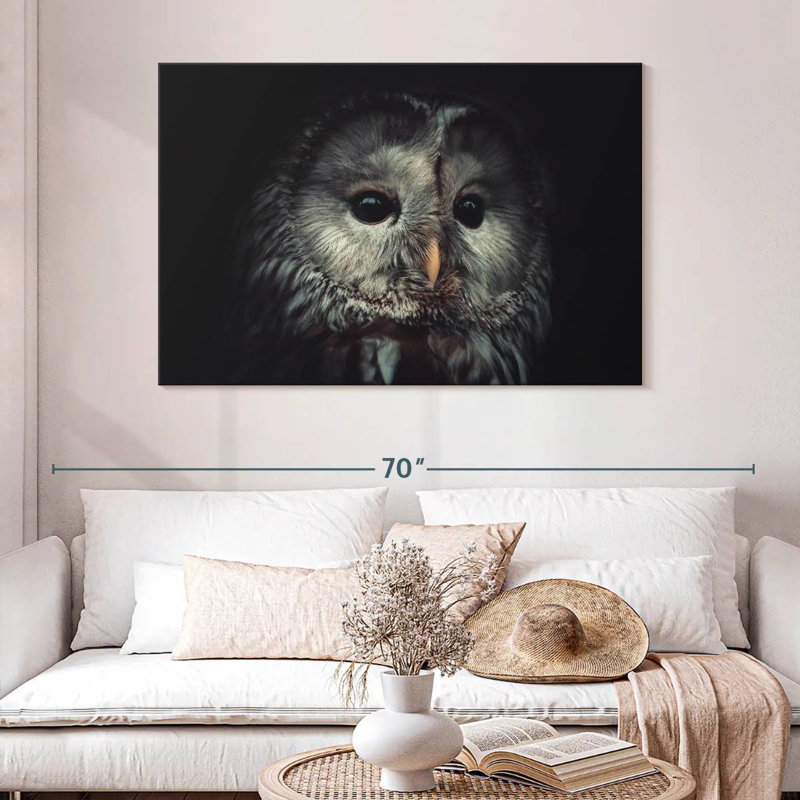 Brampt Lonely Night Owl, 20" H x 30" W