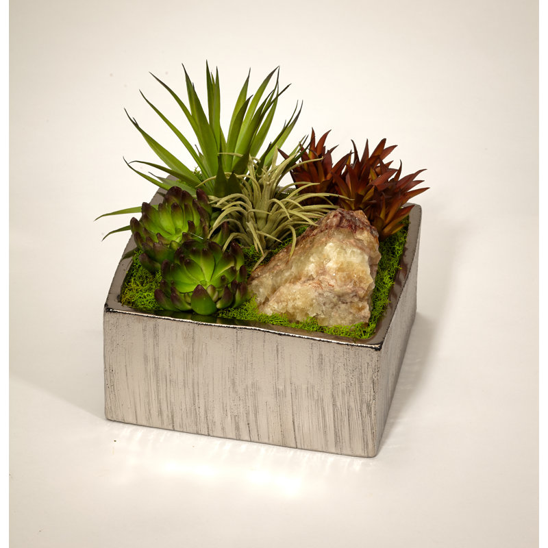 Plant in Metal Planter