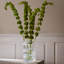 Vase Lyngby, blanc tourbillon, H: 8,1 po-120733446
