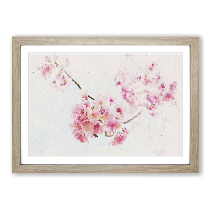 Pink Sakura Blossom Tree in Bloom - Picture Frame Graphic Art Print on MDF, Oak Framed, 62cm H x 87cm W x 2cm D
