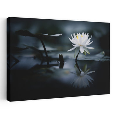 Dashiell Contemporary Art Peaceful Serene Tranquil Lily Flower Wall Art - Wrapped Canvas Print