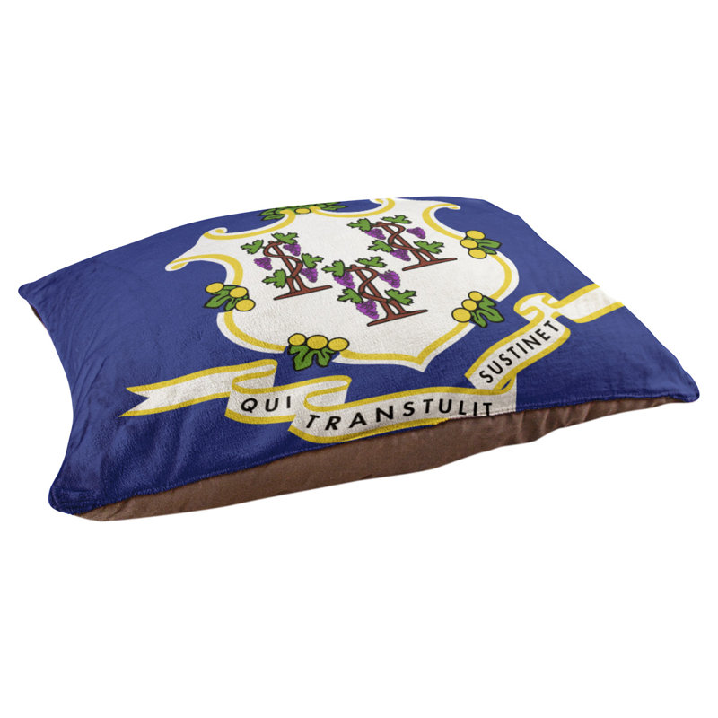 Coussin stylisé connecticut flag Burien, L 19,5 po x l 29,5 po, Marron foncé