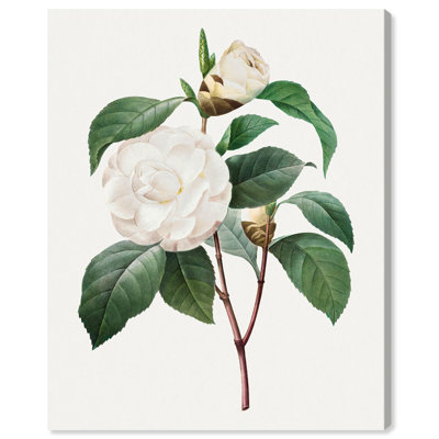 Toile de camélia blanc par Art Remedy