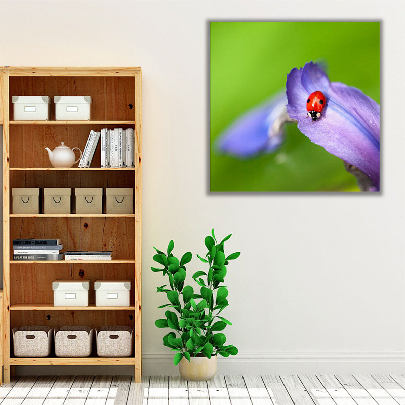 «Lady Bug on Flower Petal», reproduction d'art sur toile, H 16 po x l 16 po