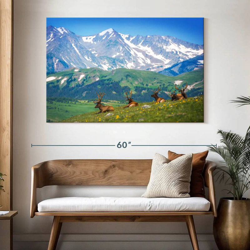 Brampt North American Elks, 34" H x 51" W