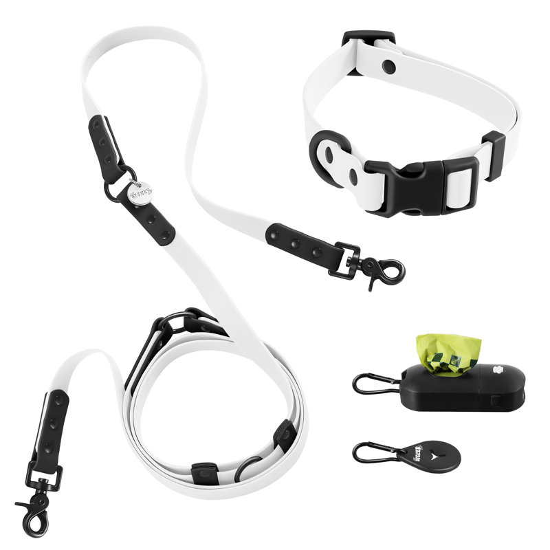 Laisse ajustable mains libres et collier 6-en-1 avec lampe DEL Luna 8 pi, Medium, Blanc/Noir