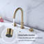 2-handle Bathroom Faucet-59810641