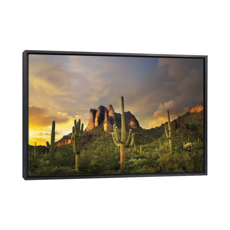 «Desert Sunset», reproduction d'art sur toile encadrée, H 40 po x l 60 po, Reproduction encadrée sans passe-partout