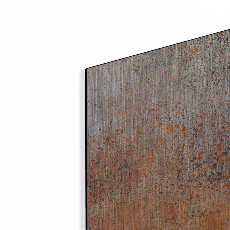 «Hummingbird At Home 1» par Anthony Grant, H 36 po x l 36 po