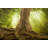 Tree Roots by SonerCdem - Wrapped Canvas Print-1579092286