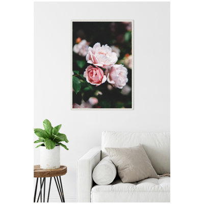 Delicate Light Pink Rose Floral by Patricia Hasz of Patricia Rae Photography Framed Canvas Wall Art Print