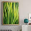 Blades of Grass II - peinture à cadre unique-1661991474-1661991475