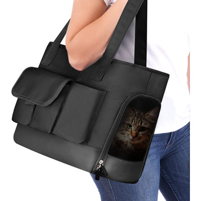 Plastic Collapsible Pet Carrier