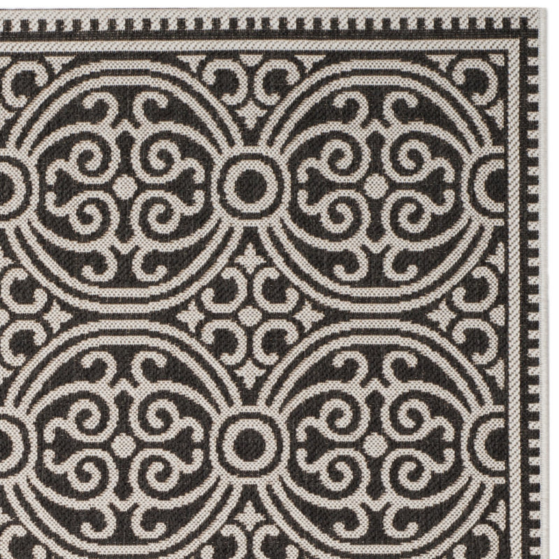 Tapis d'intérieur / extérieur Adler Performance, Tapis de couloir 2 pi 2 po x 10 pi