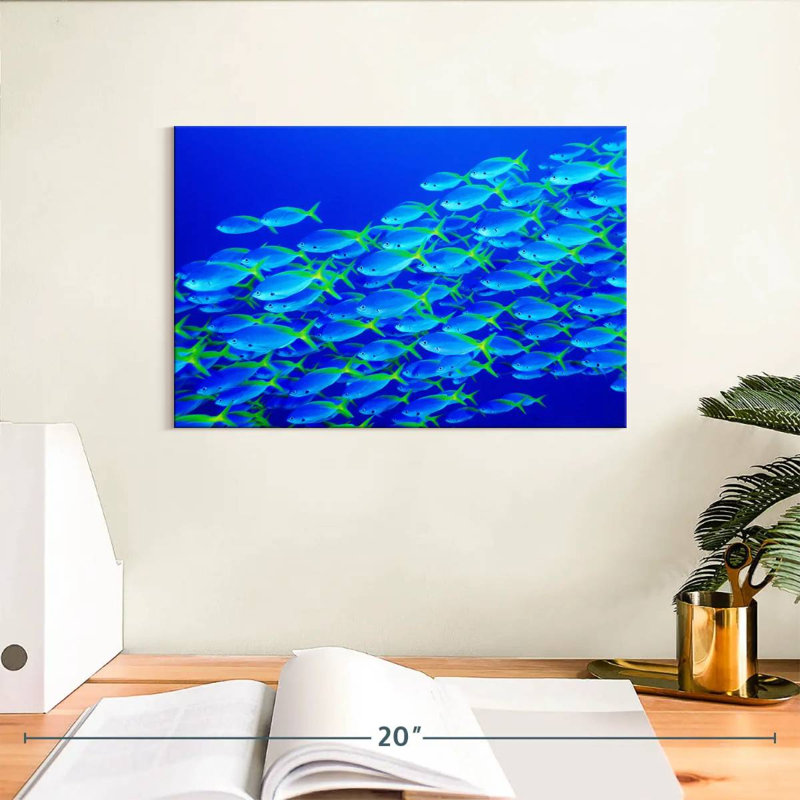 School Of Snapper Fish, 8" H x 12" W