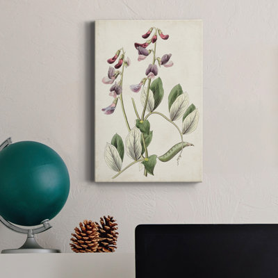 Antique Botanical Collection I - reproduction