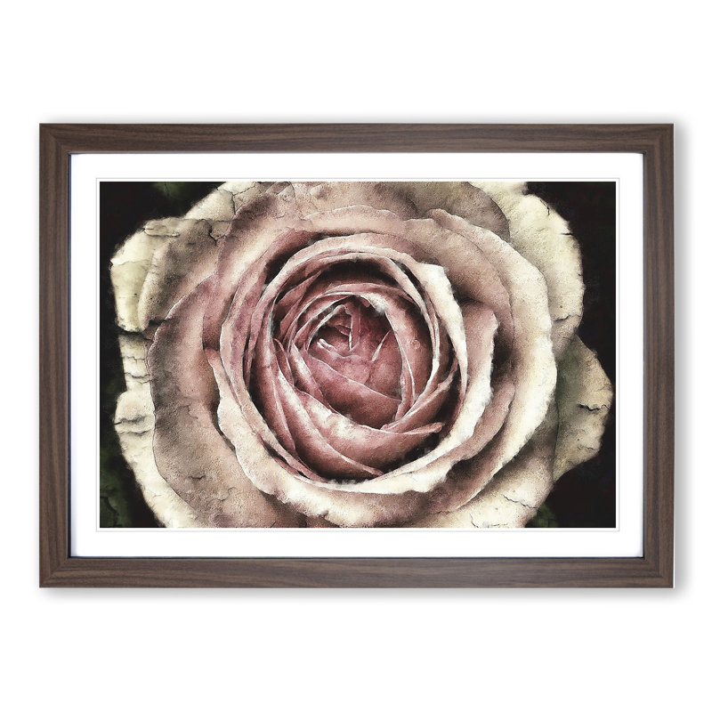 Pink Rose Flower Vol.3 - Framed Print, 27cm H x 36cm W x 2cm D, Walnut Framed