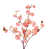 Coral Powder is out of stock