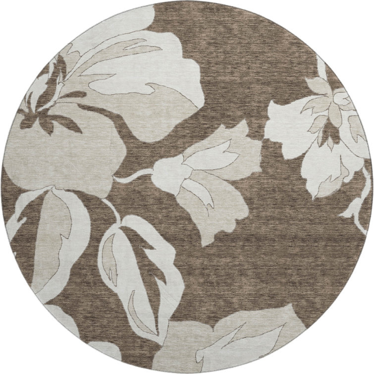 Premium Machine Washable Prisco Brown Rug