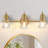 3 - Light Dimmable Vanity Light With Seeded Glass