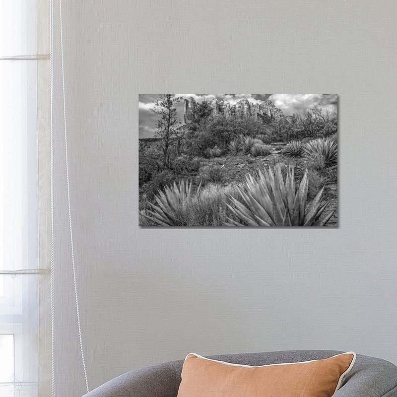 Agave, Coffee Pot Rock Near Sedona, Arizona 1 Piece Wrapped Canvas Wall Art, 66.04 cm H x 45.72 cm W x 1.91 cm D