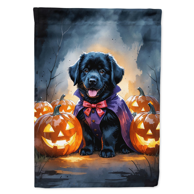 Drapeau de jardin chiot Halloween, Terre-Neuve noir